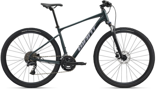 Giant Roam 2